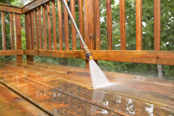 Best Driveway Pressure Washing  in Jasper, FL